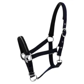 norton-equestrian-capezza-crystal