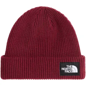the-north-face-gorro-salty-lined