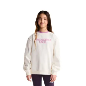 the-north-face-moletom-chalbi-graphic