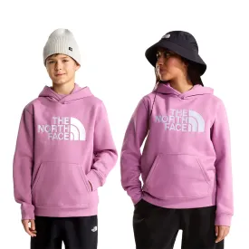 the-north-face-moletom-com-capuz-essential-drew-peak