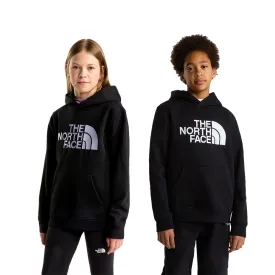 the-north-face-moletom-com-capuz-essential-drew-peak