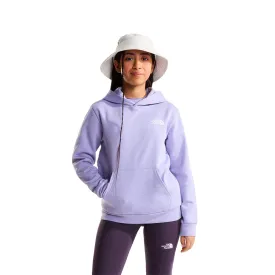 the-north-face-moletom-com-capuz-evolution-box