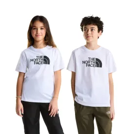 the-north-face-evolution-half-dome-半袖tシャツ