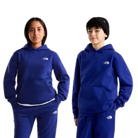 the-north-face-moletom-com-capuz-evolution-simple-dome