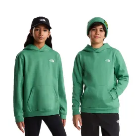 the-north-face-moletom-com-capuz-evolution-simple-dome