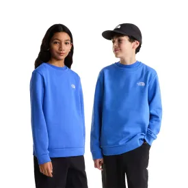 the-north-face-moletom-evolution-simple-dome