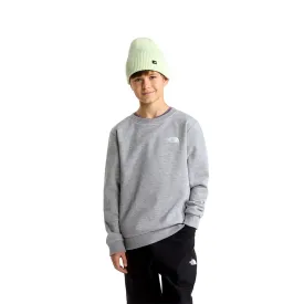 the-north-face-evolution-simple-dome-bluza