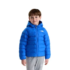 the-north-face-reversible-perrito-jacket