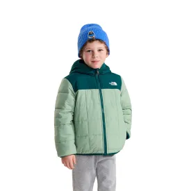 the-north-face-reversible-shasta-jacket