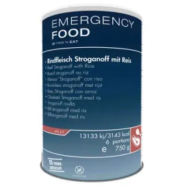 trek-n-eat-b-uf-stroganoff-avec-riz