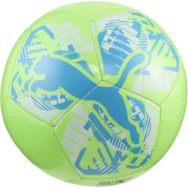 puma-big-catball-minifodbold