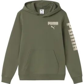 puma-moletom-com-capuz-essential-graphic