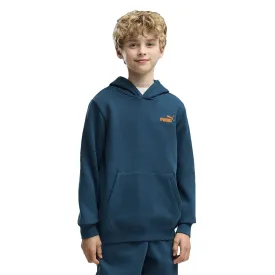 puma-moletom-com-capuz-essential-logo-lab-brand-back-graphic