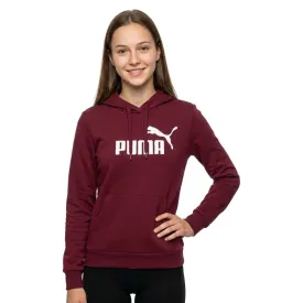 puma-moletom-com-capuz-essential-n-1-logo