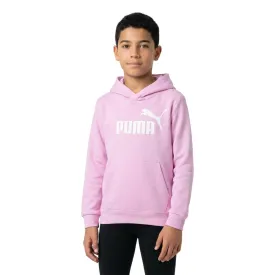 puma-moletom-com-capuz-essential-n-1-logo
