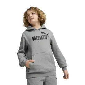 puma-moletom-com-capuz-essential-n-1-logo