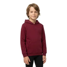 puma-sudadera-con-capucha-essential-small-n-1-logo-centered
