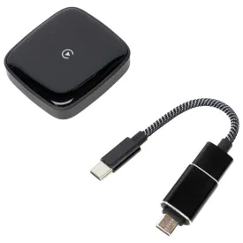 pni-convertitore-wireless-usb-c-cp200