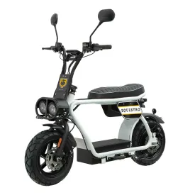 equestro-elektrisk-minimoto-1000w