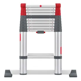 hailo-master-t100-伸縮-사다리