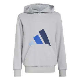 adidas-moletom-com-capuz-essentials