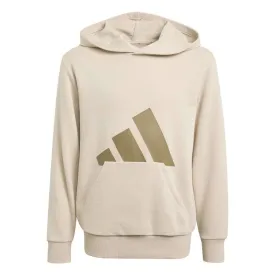 adidas-moletom-com-capuz-essentials