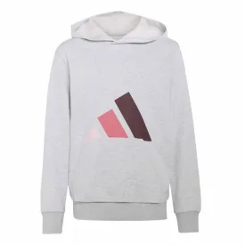 adidas-essentials-连帽卫衣