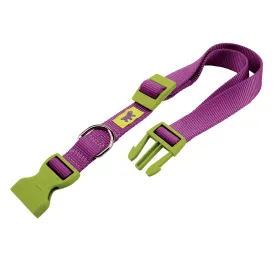 ferplast-club-colours-dog-collar