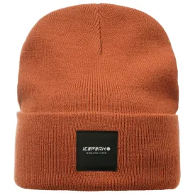 icepeak-gorro-harcourt