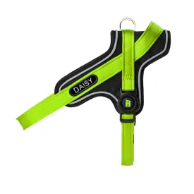 myfamily-memopet--id-personalizable-y-dog-harness