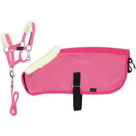 equitheme-mini-halter---rug-set-speelgoed