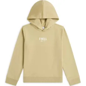 oneill-essentials-hoodie