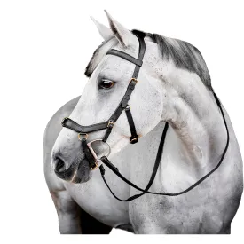horseware-micklem-multi-挽具
