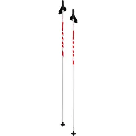 swix-bastones-q6
