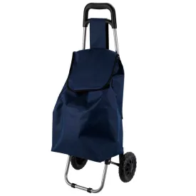 edm-carrinho-de-compras-sortido-33l