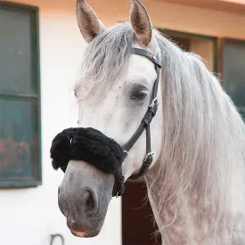 marjoman-kapsun-halter-medicinal-protector