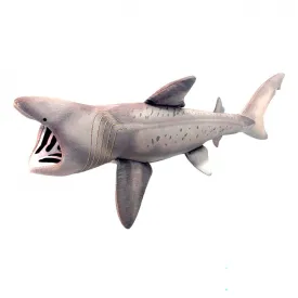 deqube-basking-shark-bamse
