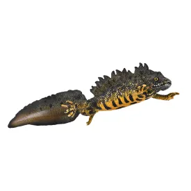collecta-crested-newt-figur