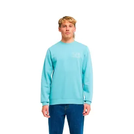 billabong-moletom-foundation-ebysf00188
