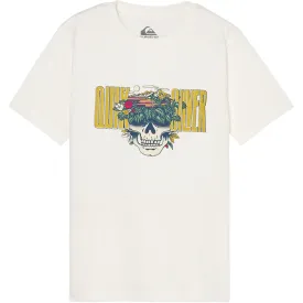 quiksilver-paradise-point-반팔-티셔츠
