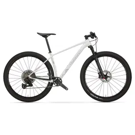 Giant Talon 3 29´´ Acera 2025 MTB bike, Silver | Bikeinn