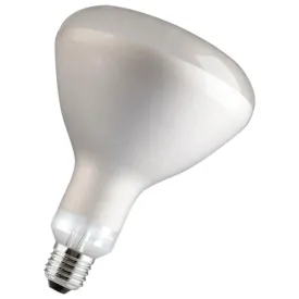 philips-br125-ir-전구