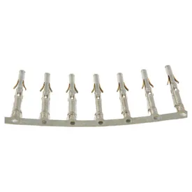 euroconnex-3458-sovitin