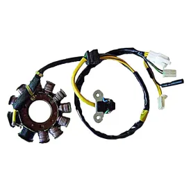 sgr-statore-04163067