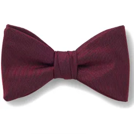 hugo-10262219-red-fluga