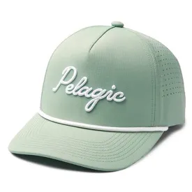 pelagic-bone-upswell