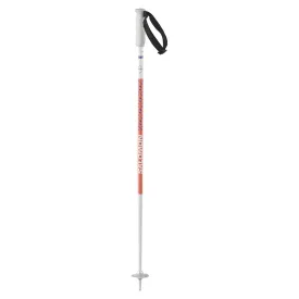 salomon-batons-junior-polar