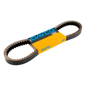 dayco-sym-symphony-200-drivrem