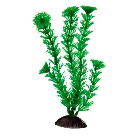 ferplast-blue-9060-plastvaxt