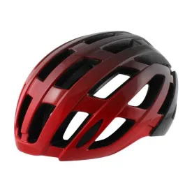 wag-rapido-helm